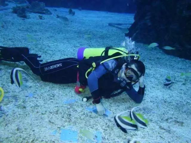 星际殖民2